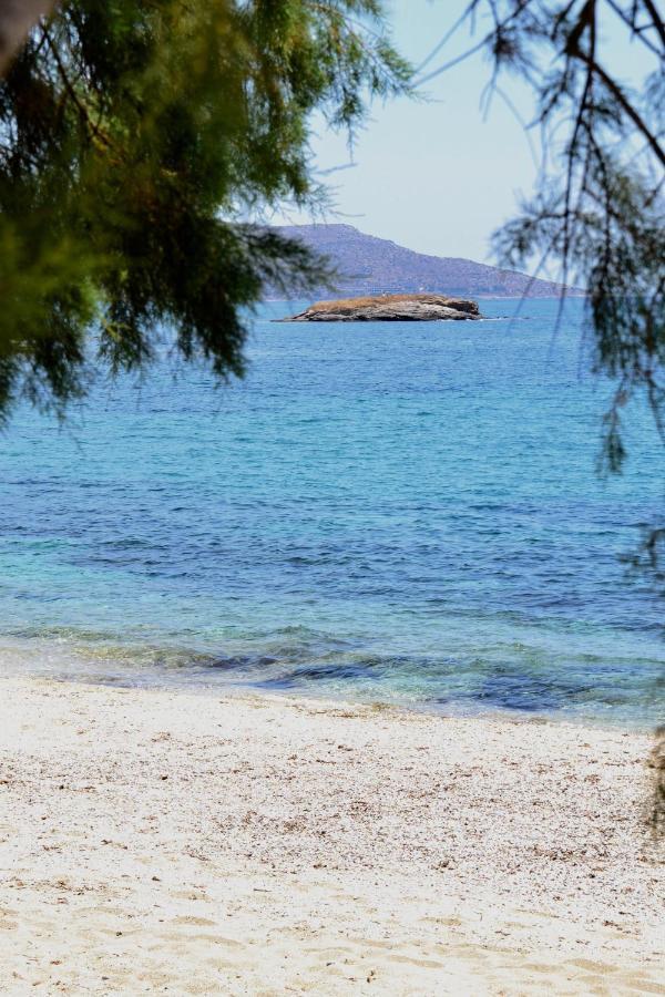 Beach House Set In A Beautiful Bay Karystos  Eksteriør billede